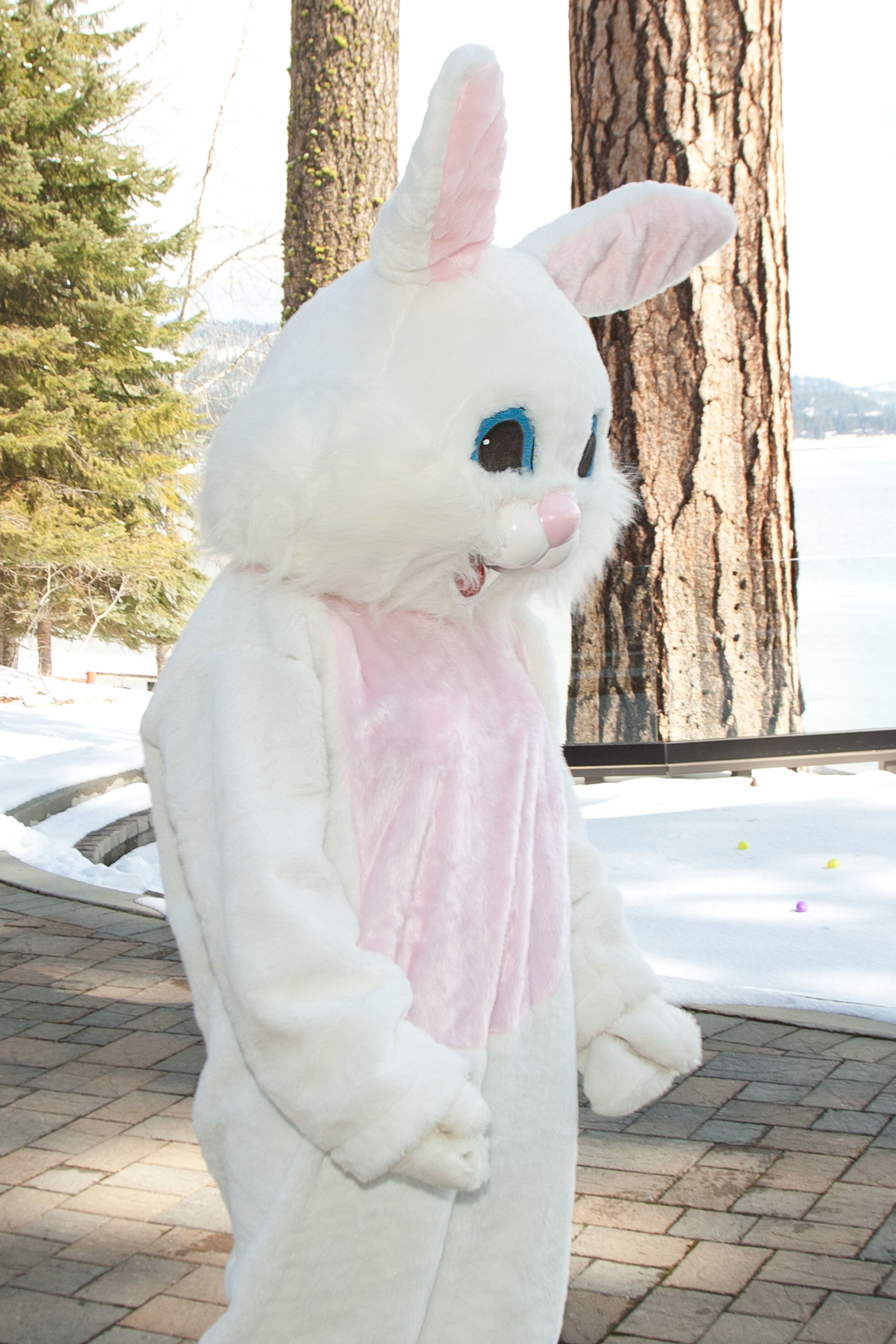 Easter Brunch & Hunt at Whitetail Club