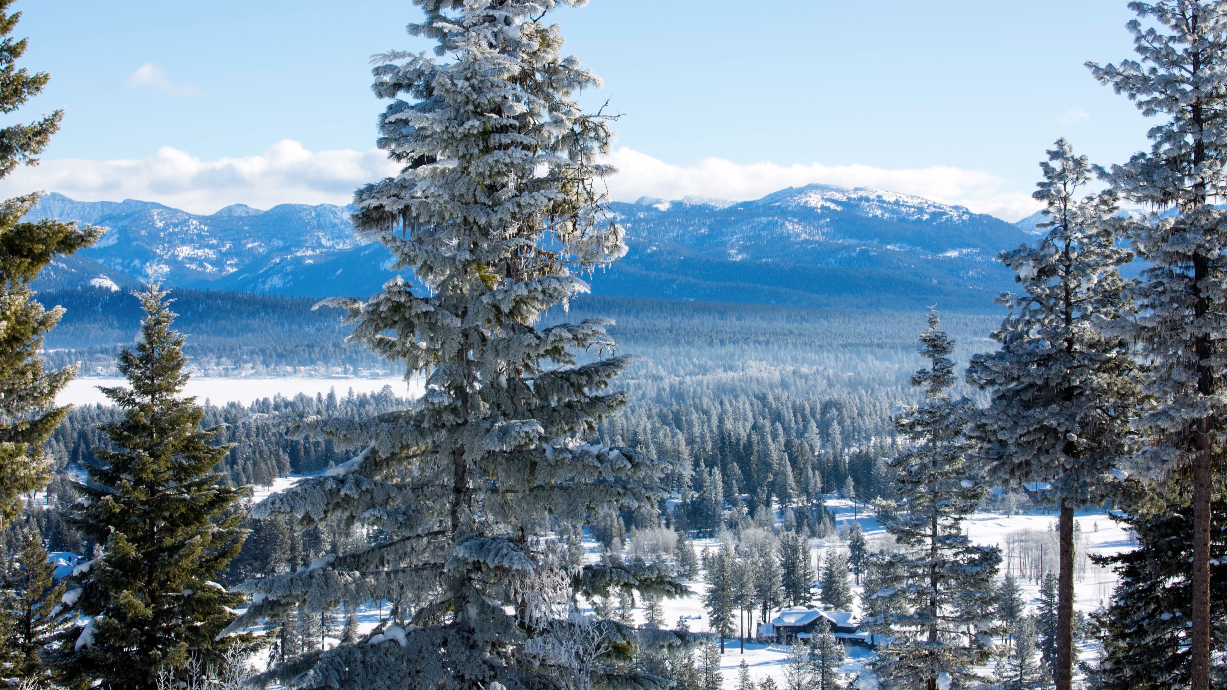 Winter at Whitetail Club